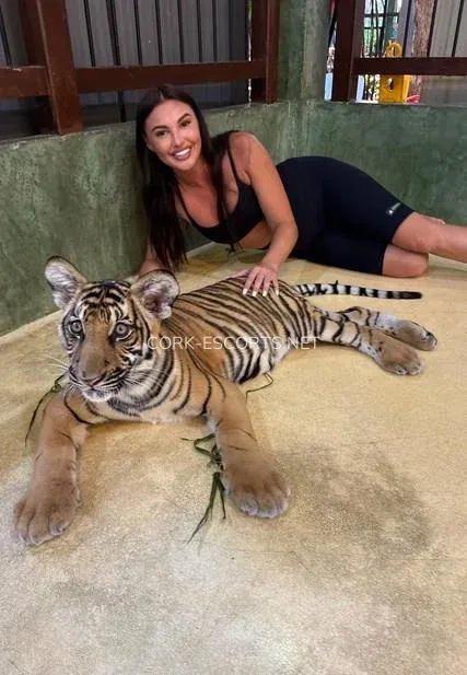 Cork escorts Sara — 6