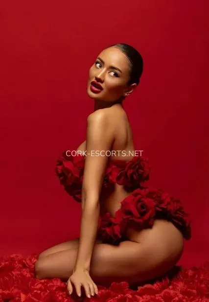Cork escorts Elise — 6